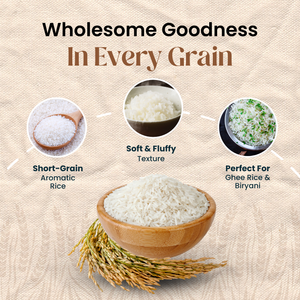 Cooked Jeerakashala Kaima Rice showing soft, fluffy texture and aromatic short grains, making it the perfect rice for ghee rice and biriyani